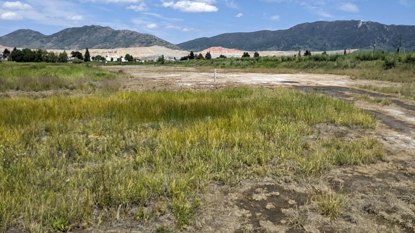 Diggings East, one of the sites identified for remediation and end land use enhancement