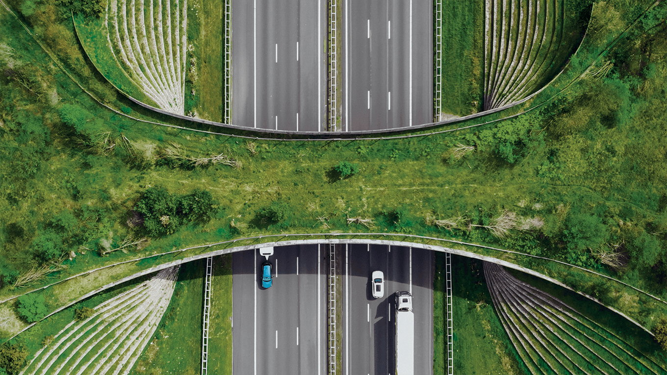 Bridge over road