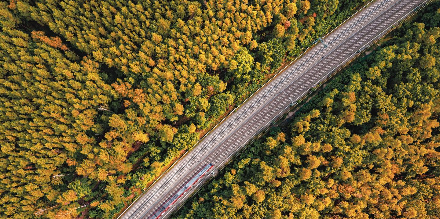 Railway through summer forest, aerial view.